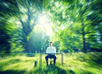 Image of man at a desk in a serene woodland