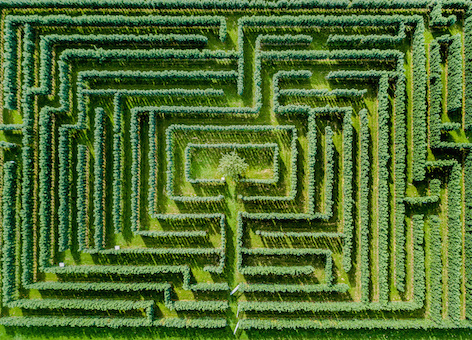 Image of Aerial view of maze