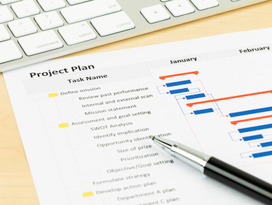 Image of Project Plan Gantt Chart