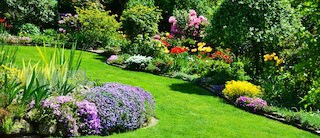 Image of a beautiful garden panorama with a manicured lawn pathway weaving thru flowerbeds and shrub plantings